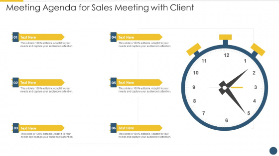 Meeting Agenda For Sales Meeting With Client Inspiration PDF