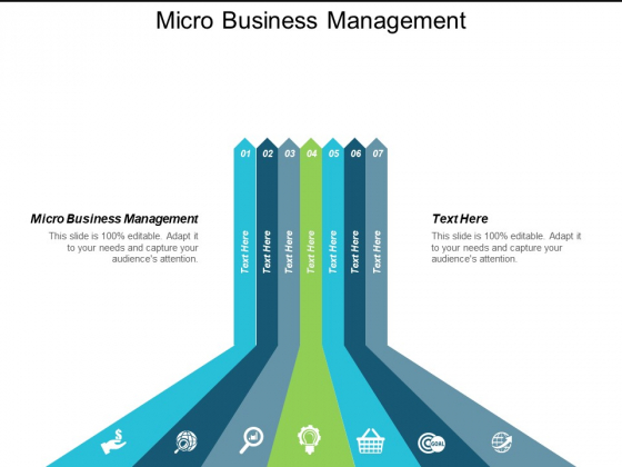 Micro Business Management Ppt Powerpoint Presentation Show Graphics Cpb