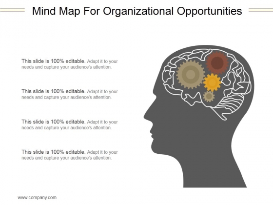 Mind Map For Organizational Opportunities Ppt PowerPoint Presentation Infographics
