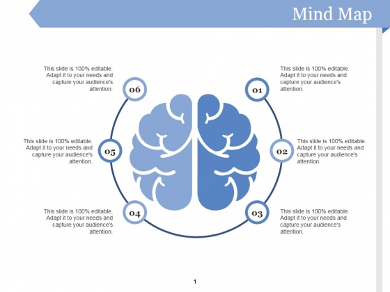 Mind Map Ppt PowerPoint Presentation Layouts Brochure