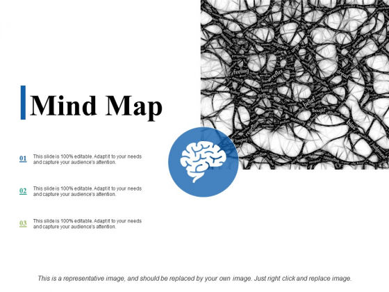 Mind Map Ppt PowerPoint Presentation Summary Graphics Mind Map Ppt PowerPoint Presentation Summary Graphics