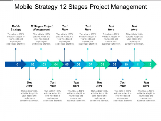 Mobile Strategy 12 Stages Project Management Ppt PowerPoint Presentation Layouts Graphics Example