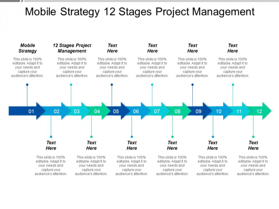Mobile Strategy 12 Stages Project Management Ppt PowerPoint Presentation Layouts Graphics Example Mobile Strategy 12 Stages Project Management Ppt PowerPoint Presentation Layouts Graphics Example