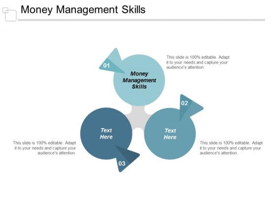 Money Management Skills Ppt Powerpoint Presentation Gallery Themes Cpb