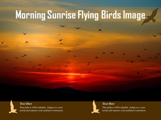 Morning Sunrise Flying Birds Image Ppt PowerPoint Presentation File Slideshow PDF Morning Sunrise Flying Birds Image Ppt PowerPoint Presentation File Slideshow PDF