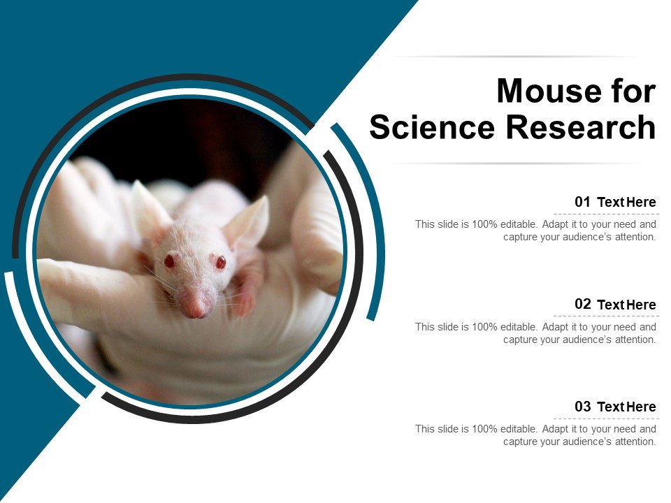 Mouse For Science Research Ppt PowerPoint Presentation File Format Ideas  PDF - PowerPoint Templates