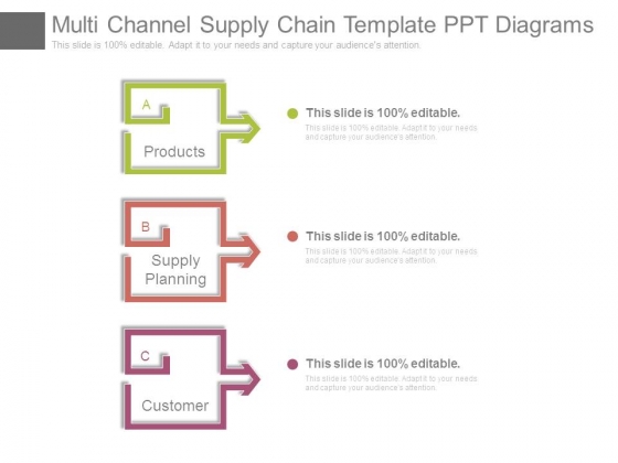 Multi Channel Supply Chain Template Ppt Diagrams