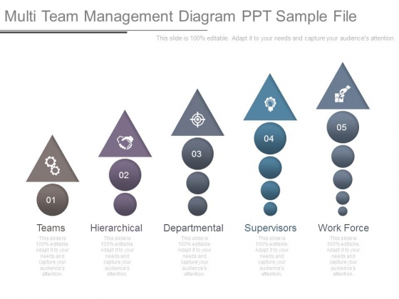 Multi Team Management Diagram Ppt Sample File