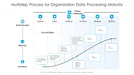 Multistep Process For Organisation Data Processing Maturity Structure PDF