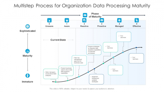Multistep Process For Organisation Data Processing Maturity Structure PDF Multistep Process For Organisation Data Processing Maturity Structure PDF