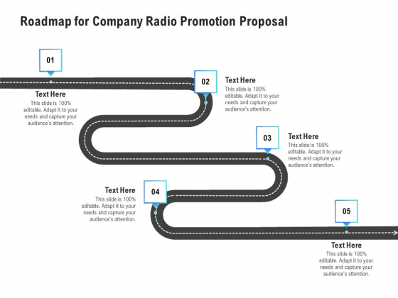 Music Promotion Consultation Roadmap For Company Radio Promotion Proposal Ideas PDF