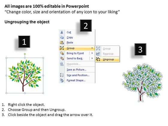 My Family Tree PowerPoint Slides professionally compatible