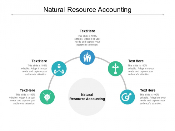 Natural Resource Accounting Ppt PowerPoint Presentation Rules Cpb