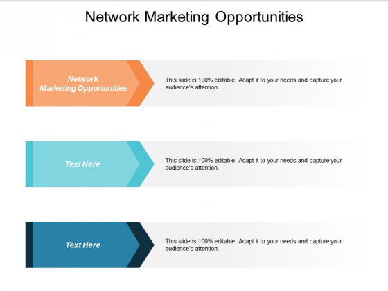 Network Marketing Opportunities Ppt Powerpoint Presentation Infographics Maker Cpb