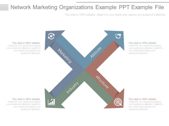 Network Marketing Organizations Example Ppt Example File