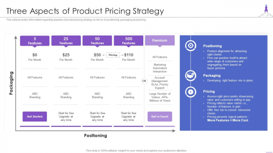 New Product Launch Three Aspects Of Product Pricing Strategy Clipart PDF
