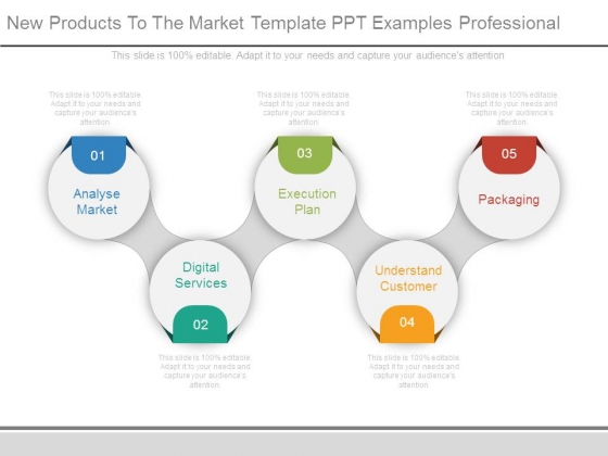 New Products To The Market Template Ppt Examples Professional New Products To The Market Template Ppt Examples Professional
