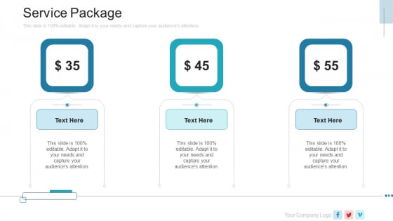 New Service Launch Plan Service Package Ppt Summary Example Introduction PDF New Service Launch Plan Service Package Ppt Summary Example Introduction PDF