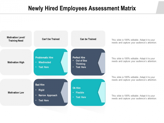 Newly Hired Employees Assessment Matrix Ppt PowerPoint Presentation Example PDF Newly Hired Employees Assessment Matrix Ppt PowerPoint Presentation Example PDF