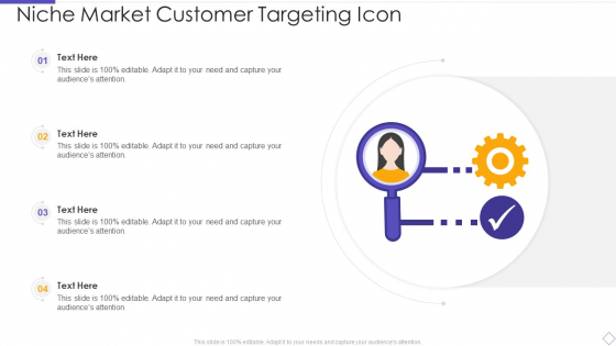 Niche Market Customer Targeting Icon Graphics PDF