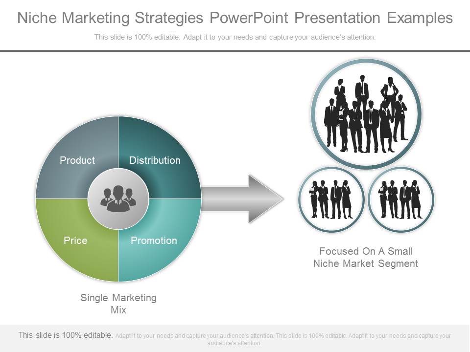 Niche Marketing Strategies Powerpoint Presentation Examples - PowerPoint Templates