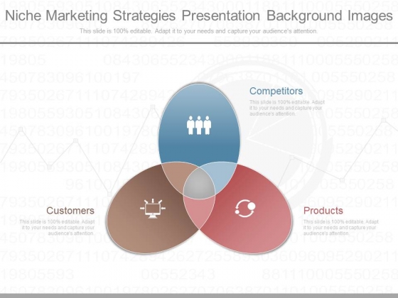 Niche Marketing Strategies Presentation Background Images