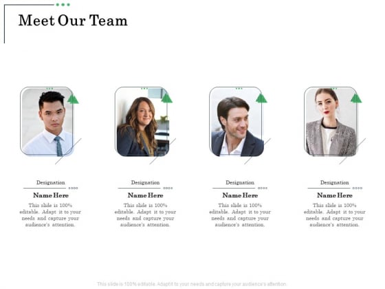 Non Current Assets Reassessment Meet Our Team Ppt Infographic Template Maker PDF Non Current Assets Reassessment Meet Our Team Ppt Infographic Template Maker PDF