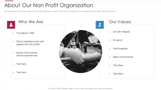 Non Profit Making Capital Raising Contributors About Our Non Profit Organization Microsoft PDF