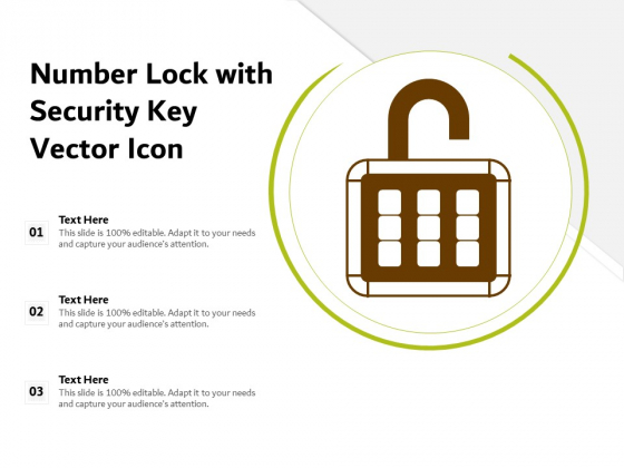 Number Lock With Security Key Vector Icon Ppt PowerPoint Presentation Professional Demonstration PDF