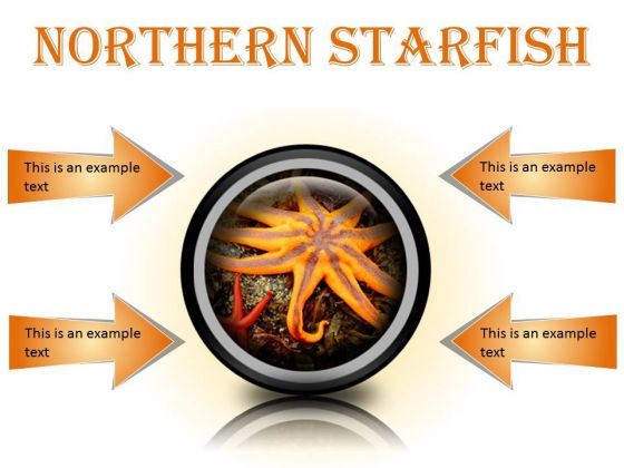 Northern Starfish Beach PowerPoint Presentation Slides Cc Northern Starfish Beach PowerPoint Presentation Slides Cc