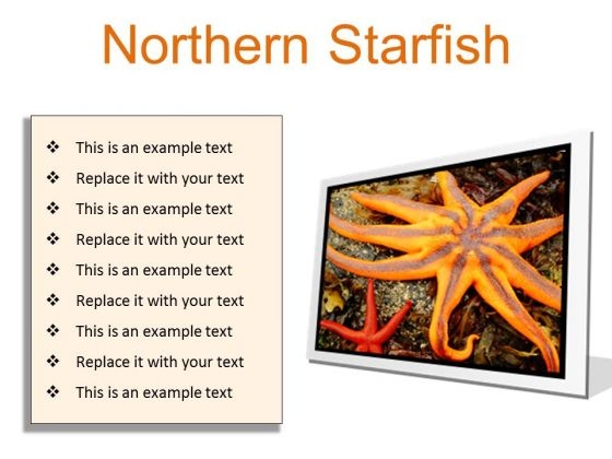 Northern Starfish Beach PowerPoint Presentation Slides F Northern Starfish Beach PowerPoint Presentation Slides F