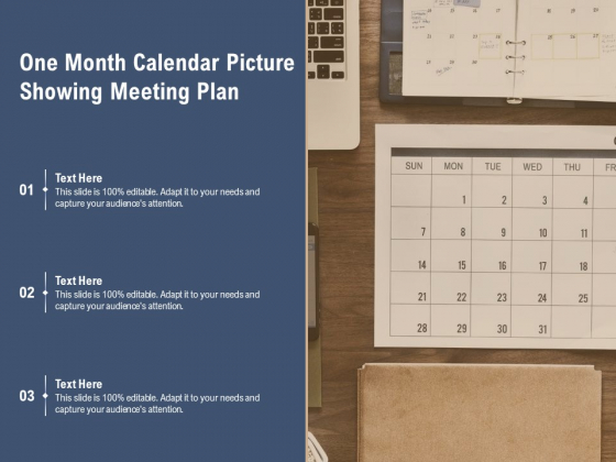 One Month Calendar Picture Showing Meeting Plan Ppt PowerPoint Presentation Slides Examples PDF