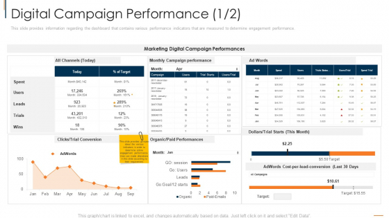 Online Consumer Engagement Digital Campaign Performance Target Graphics PDF