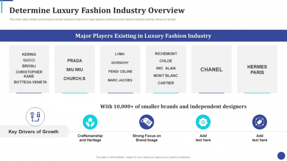 Online Luxury Fashion Platform Capital Raising Pitch Deck Determine Luxury Fashion Industry Introduction PDF