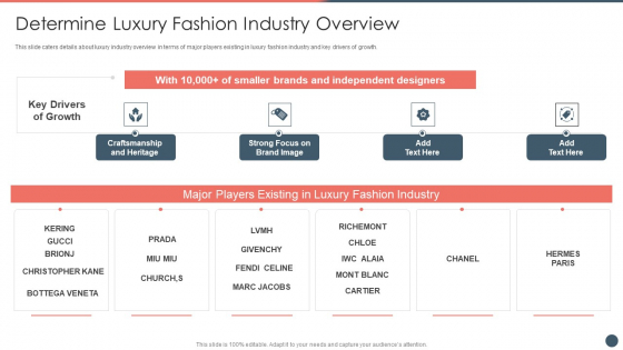Online Premium Fashion Portal Venture Capitalist Financing Elevator Determine Luxury Fashion Industry Overview Professional PDF