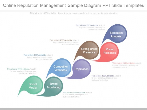 Online Reputation Management Sample Diagram Ppt Slide Templates