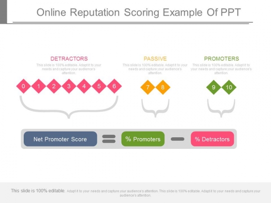 Online Reputation Scoring Example Of Ppt