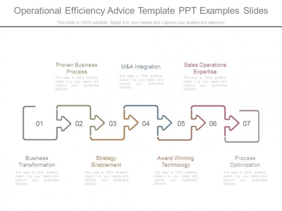 Operational Efficiency Advice Template Ppt Examples Slides Operational Efficiency Advice Template Ppt Examples Slides