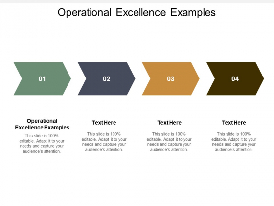 Operational Excellence Examples Ppt PowerPoint Presentation Picture Cpb