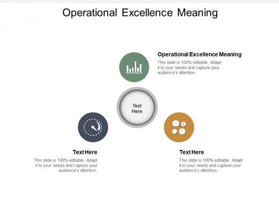 Operational Excellence Meaning Ppt PowerPoint Presentation Gallery Objects Cpb