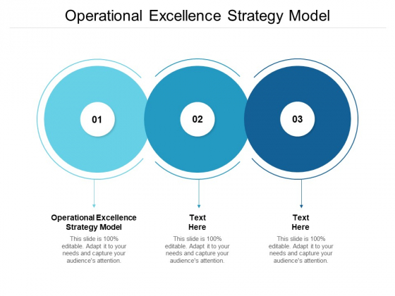 Operational Excellence Strategy Model Ppt PowerPoint Presentation Summary Ideas Cpb
