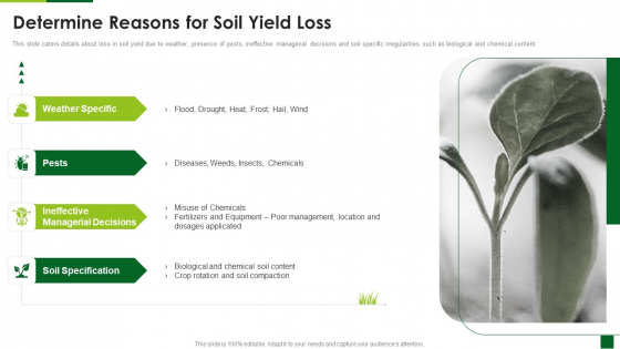 Organic Agriculture Organization Pitch Deck Determine Reasons For Soil Yield Loss Diagrams PDF
