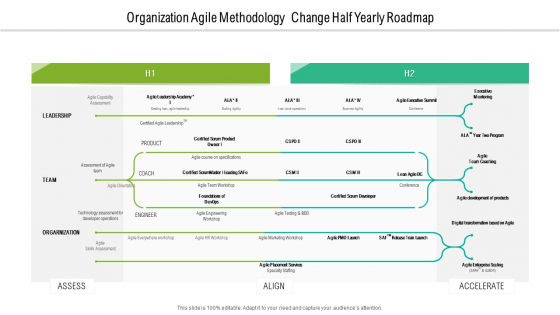 Organization Agile Methodology Change Half Yearly Roadmap Template