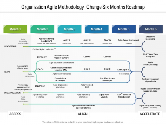 Organization Agile Methodology Change Six Months Roadmap Brochure