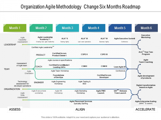Organization Agile Methodology Change Six Months Roadmap Brochure Organization Agile Methodology Change Six Months Roadmap Brochure