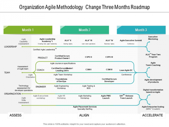 Organization Agile Methodology Change Three Months Roadmap Graphics