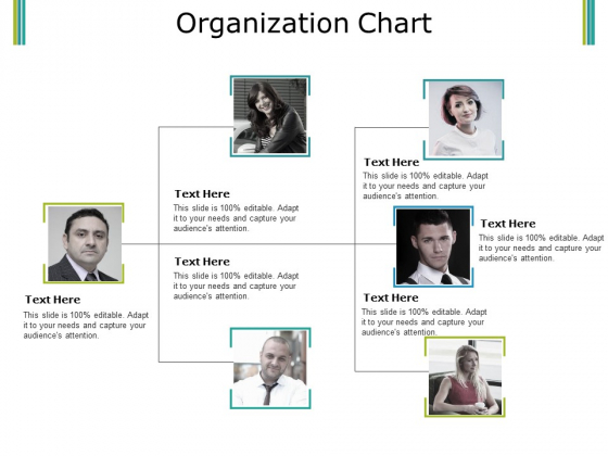 Organization Chart Ppt PowerPoint Presentation Ideas Graphics Download Organization Chart Ppt PowerPoint Presentation Ideas Graphics Download
