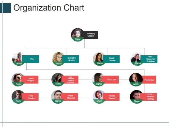 Organization Chart Ppt Powerpoint Presentation Portfolio Shapes Powerpoint Templates