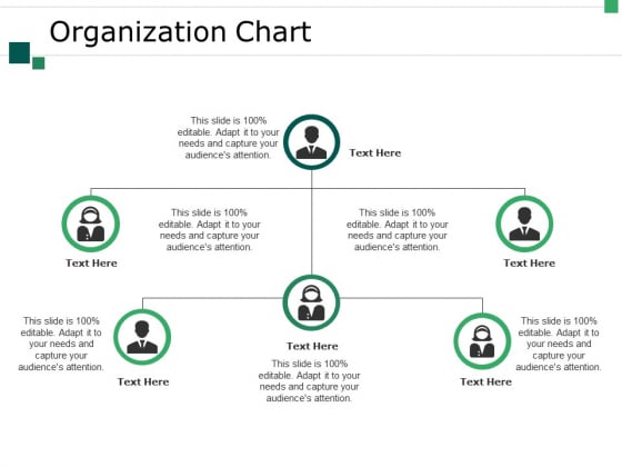 Organization Chart Ppt