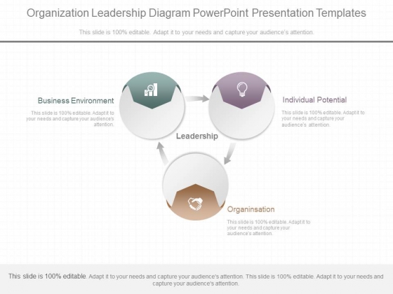 Organization Leadership Diagram Powerpoint Presentation Templates Organization Leadership Diagram Powerpoint Presentation Templates